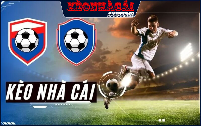 Keonhacai hỗ trợ ngôn ngữ nào dành cho khán giả