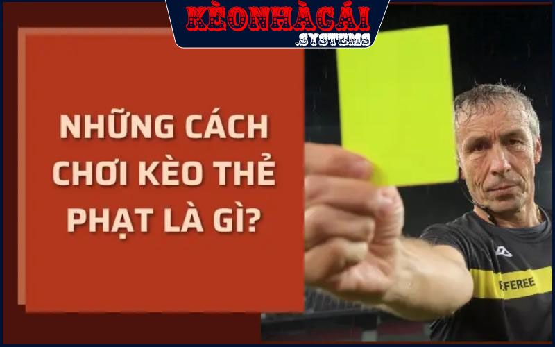 Một số kinh nghiệm tân binh không nên bỏ qua