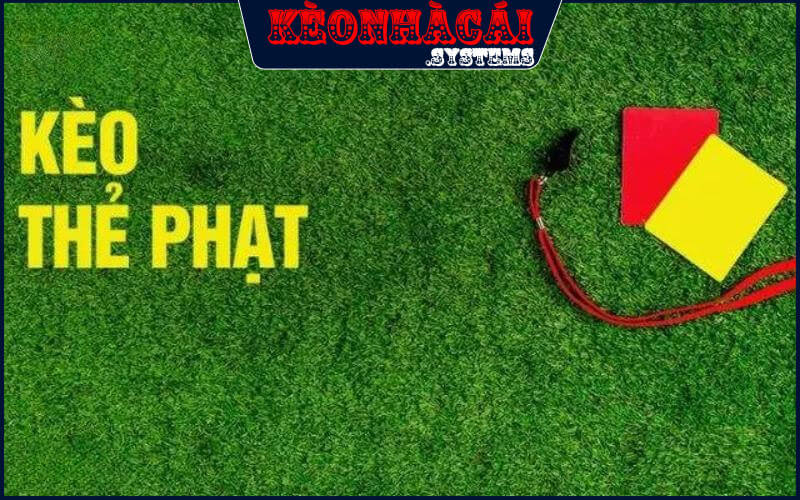 Những dạng cược thẻ phổ biến nhất